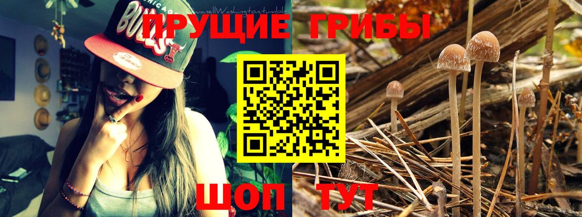 Нововоронеж  Галлюциногенные грибы ЛСД  Вход с VPN 