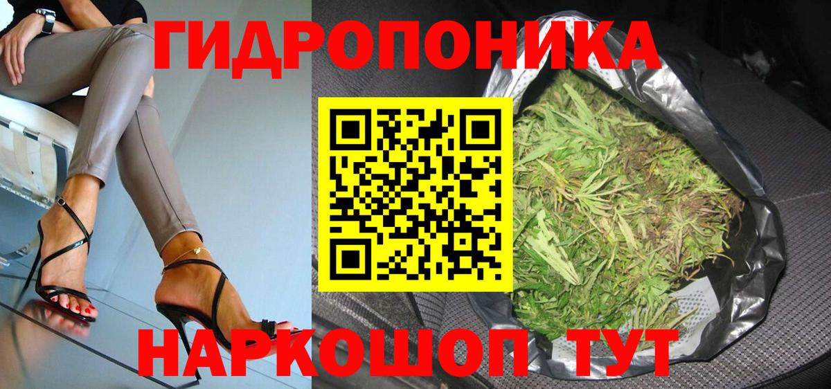 Бошки марихуана план Нововоронеж